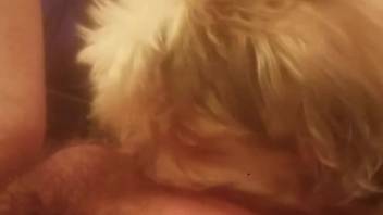 Attractive dude relishing intense blowjob from a filthy pup