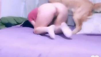 Busty woman filmed on cam trying sex with her furry dog