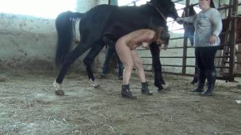 Sexy women in a steamy collection of uncut bestiality adult videos
