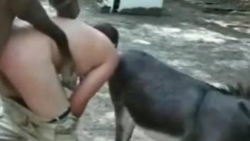 Donkey fuck experience with a zoophilic whore