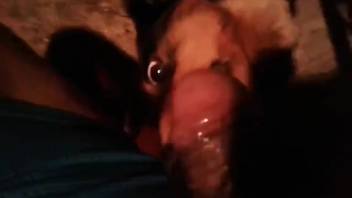 Guy with an attractive cock gets tongued by a canine