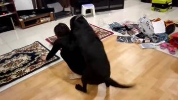 Ebony canine pounding a lustful woman in black attire