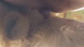 Guy masturbates in homemade clips mixed with bestiality erotica
