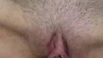 Trimmed zoophile pussy pleasured by a sexy beast