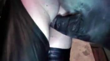 Adult woman experiments with horse intercourse in quite intense pornographic sequences