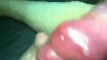 Guy employs his alluring fingers to fondle a canine's rigid dick