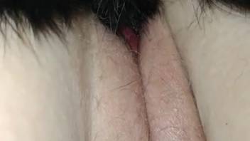 Flawless vagina vixen savors a cum-filled finish from a pooch