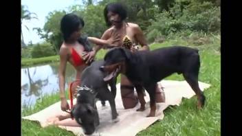 Curvaceous dark-haired animal lovers screw with a pair of dogs in the open air