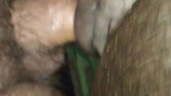 Guy thrusts his dick into a steamy mare's cunt for ultimate ecstasy live on webcam