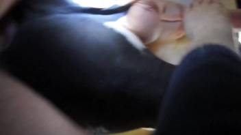 Hot mare climaxing in a group sex clip