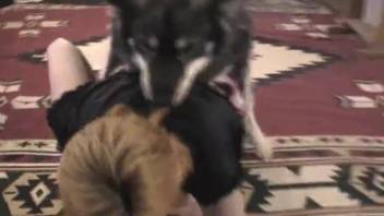 Cute and filthy bestiality romp with a blonde girl 18+ and her furry friend