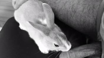 Hot guy's nice cock is being pleasured by a bunny