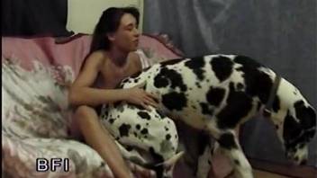 Smiling redhead babe is sucking a doggy dick