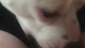 Pale beast satisfying a man's dick in a steamy way