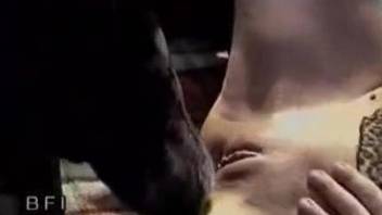 White dog with big cock banged a redhead zoofil