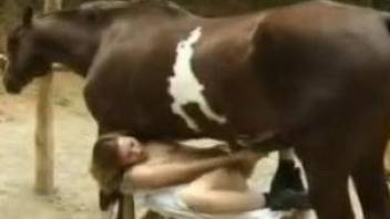 Hardcore farm animal banged a leggy young female