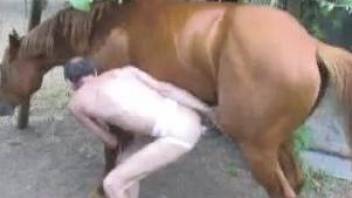 Horny man is trying to bang with his stallion