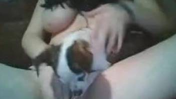 Cam girl shows off having the dog sniffing and licking her tits