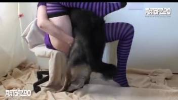 Brunette in stripped socks gives pretty pet well-done blowjob