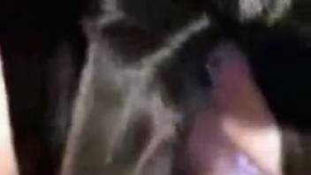 Sophisticated spouse betrays her husband with a ebony canine