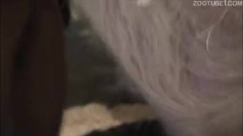 Barnyard beast with an extremely rigid spiked dick screws my adorable sweetheart