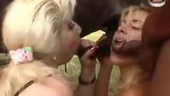Gorgeous slut joins outdoor mixed-race threesome