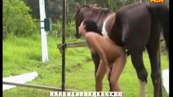 Rough horse bestiality encounter with a sexually aroused woman