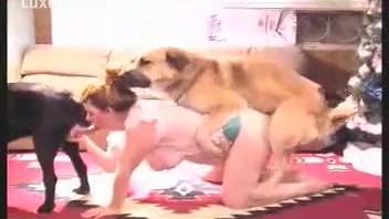 Intense homemade videos of genuine bestiality involving a woman and her pet dog