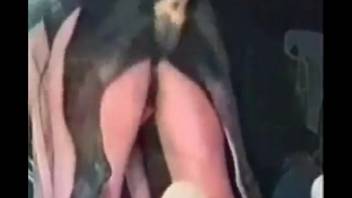 Sultry booty hottie stands and relishes thick lengths of dick in her snatch