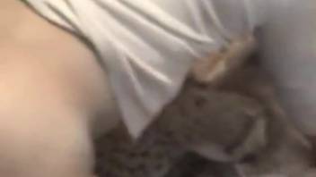 Intense canine adult film sequences featuring an alluring inexperienced older woman