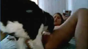 Young homemade girl 18+ streaming explicit encounters with her pet in taboo zoophilia action