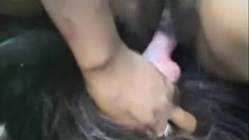 Bare young woman adores the hound mating with her depilated vagina