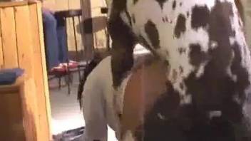 Girl fucked by her dog