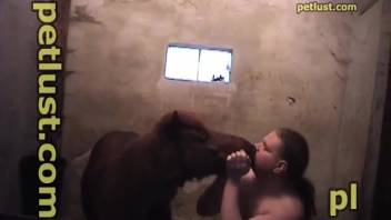Overweight rural man with a bestiality fetish strips naked solely to bang his attractive horse